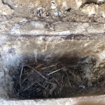 limpieza shunt Madrid