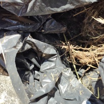 limpieza chimenea Madrid