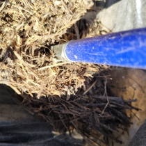 Deshollinador profesional limpiando shunt en Madrid